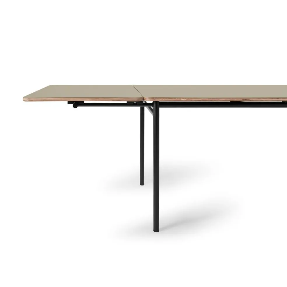 Taffel Esstisch ausziehbar 250x90x74cm