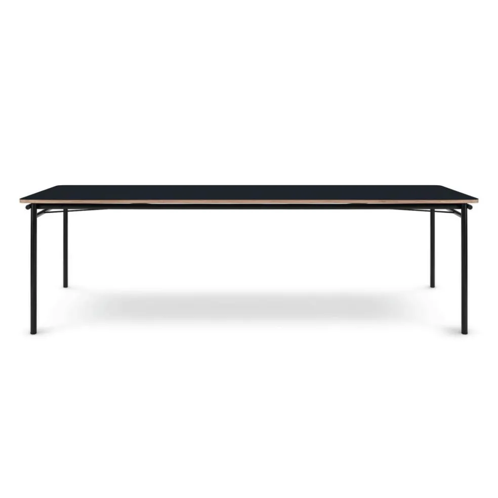 Taffel Esstisch ausziehbar 250x90x74cm