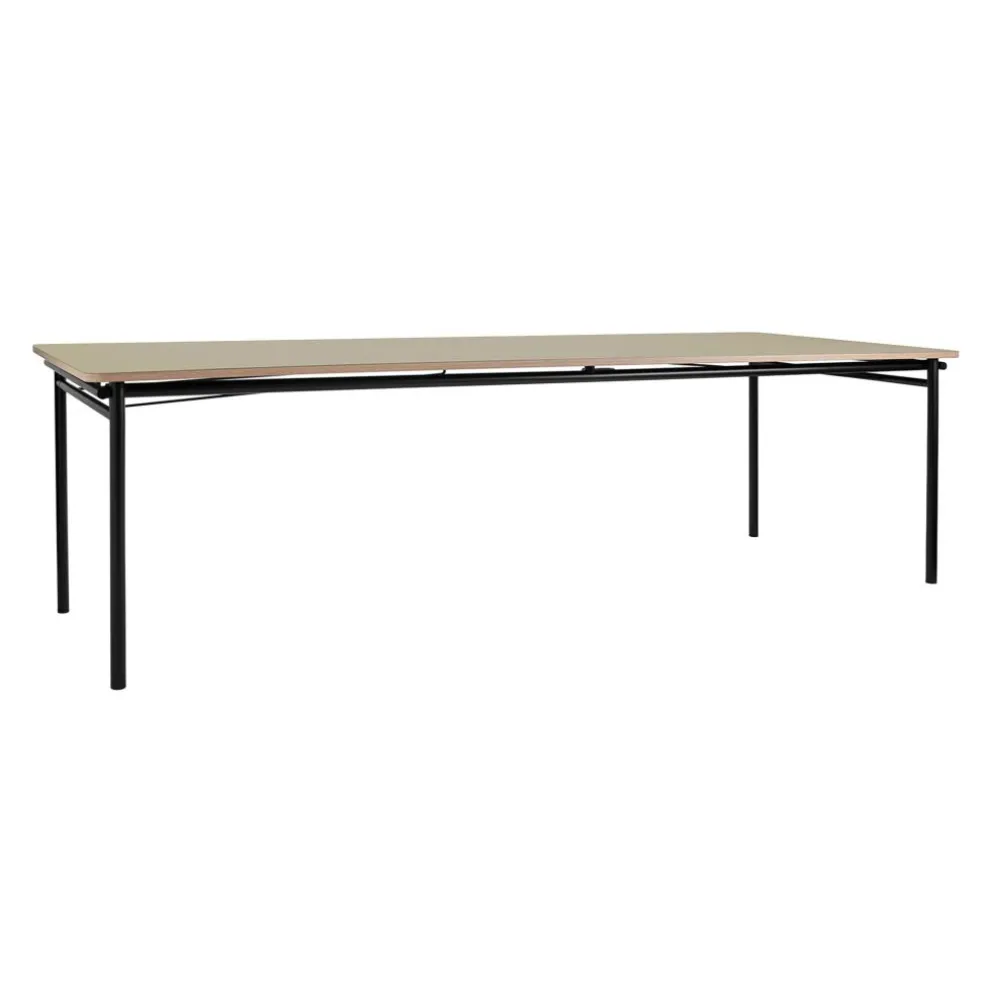 Taffel Esstisch ausziehbar 250x90x74cm