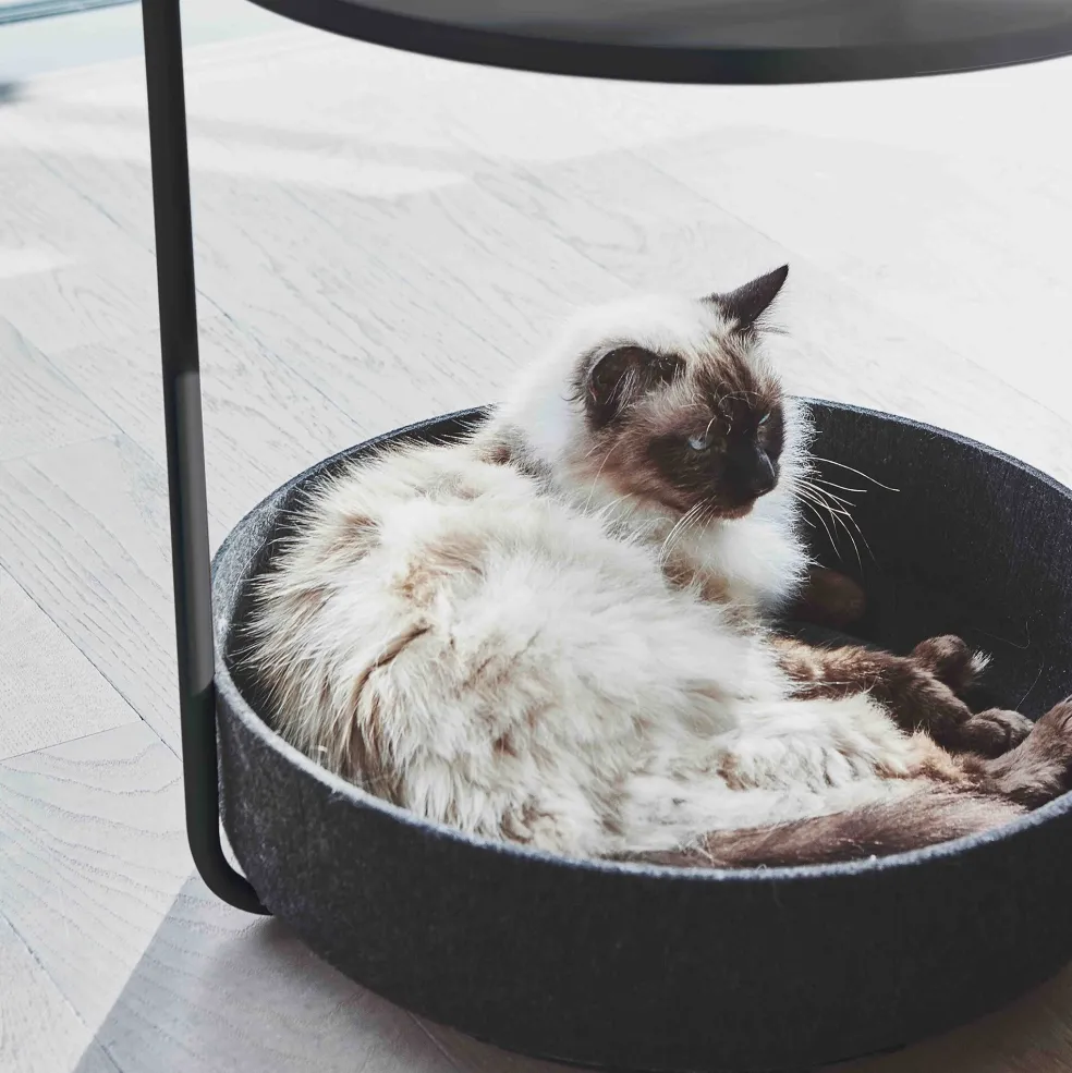 Tavolino Beistelltisch mit Katzenkorb