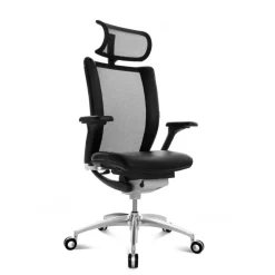 Titan Limited Bürostuhl für Teppichboden