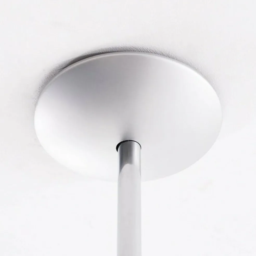 Tolomeo Sospensione Pergamena Pendelleuchte