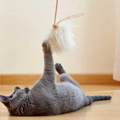 Topo Katzenspielzeug