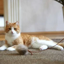 Topo Katzenspielzeug