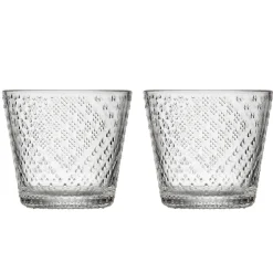 Tundra Trinkglas 2er Set 29cl