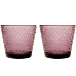 Tundra Trinkglas 2er Set 29cl