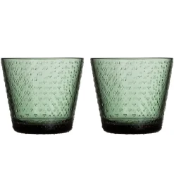 Tundra Trinkglas 2er Set 29cl