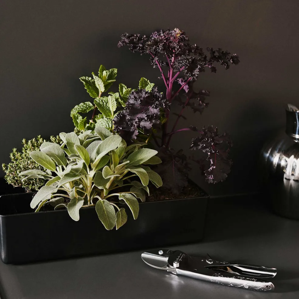 Vitra Toolbox Aufbewahrungsbox