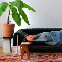 w153 Île LED Tisch-/Wandleuchte