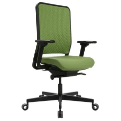 W1C Low Bürostuhl Rückenlehne Flachpolster