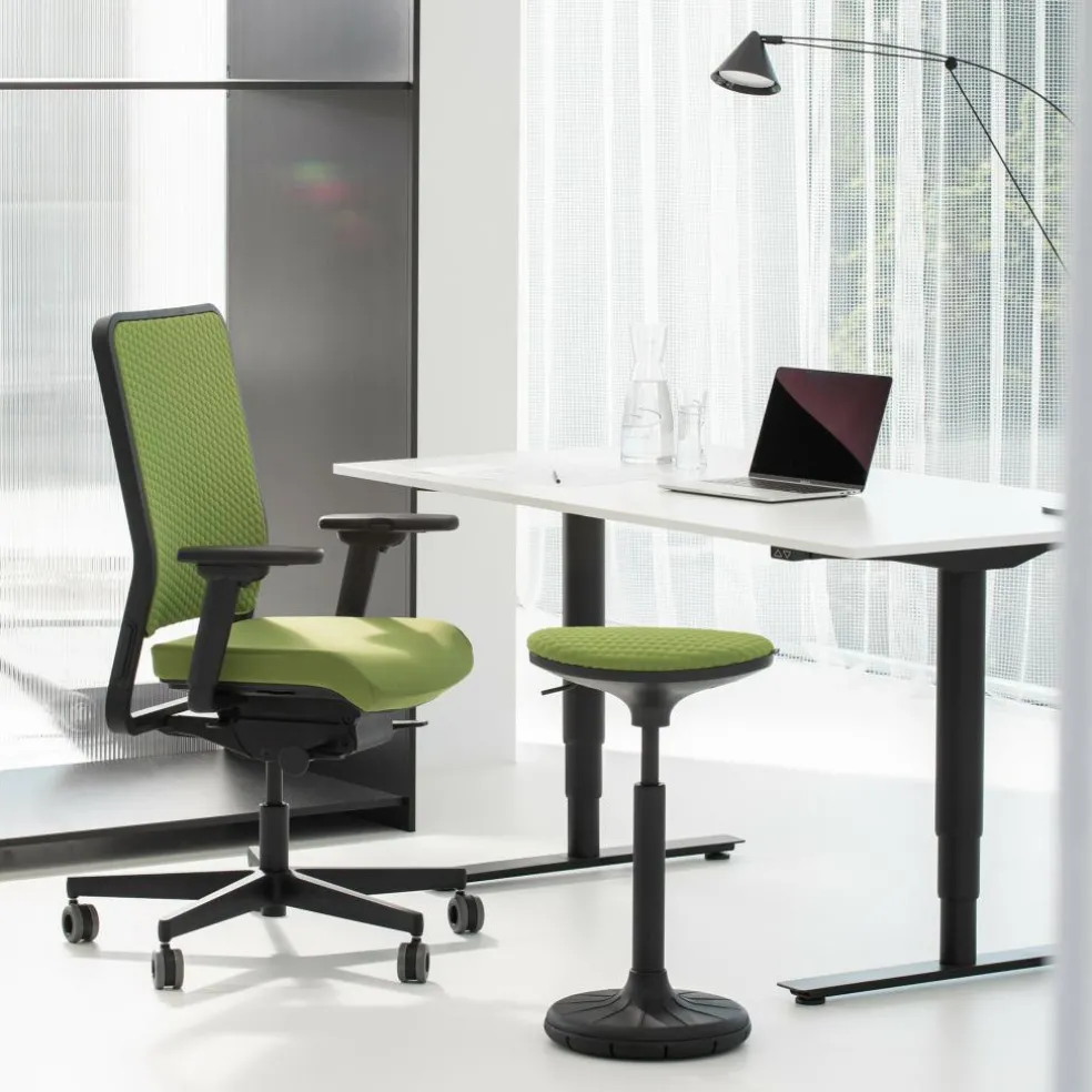 W1C Low Bürostuhl Rückenlehne Flachpolster