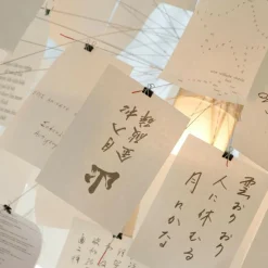 Zettel'z 5 DIN A5 80 Blätter